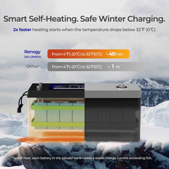 Renogy 24V/48V 200Ah Core Series Deep Cycle Lithium Iron Phosphate Battery