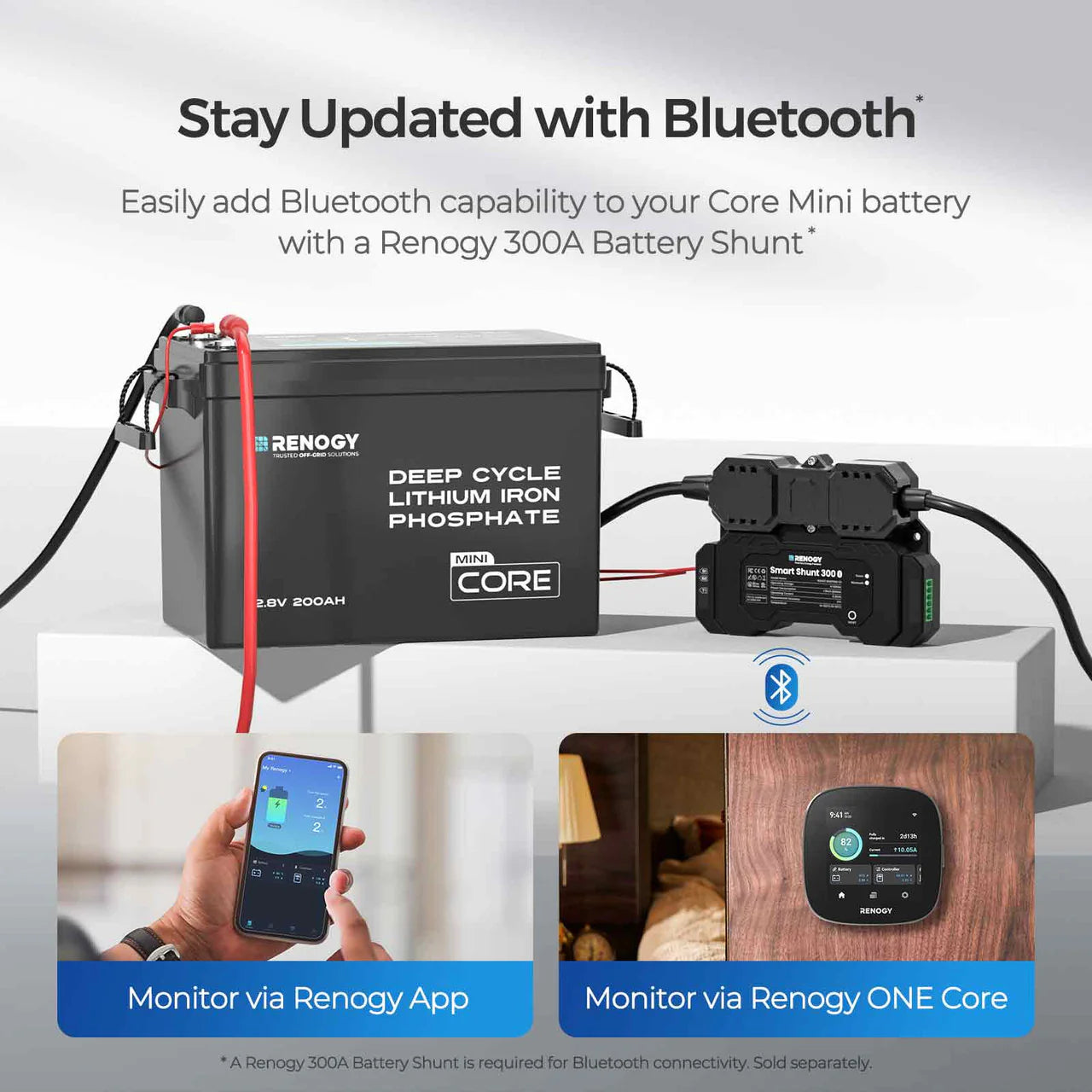 Renogy Core Mini 12.8V 200Ah Lithium Iron Phosphate Battery