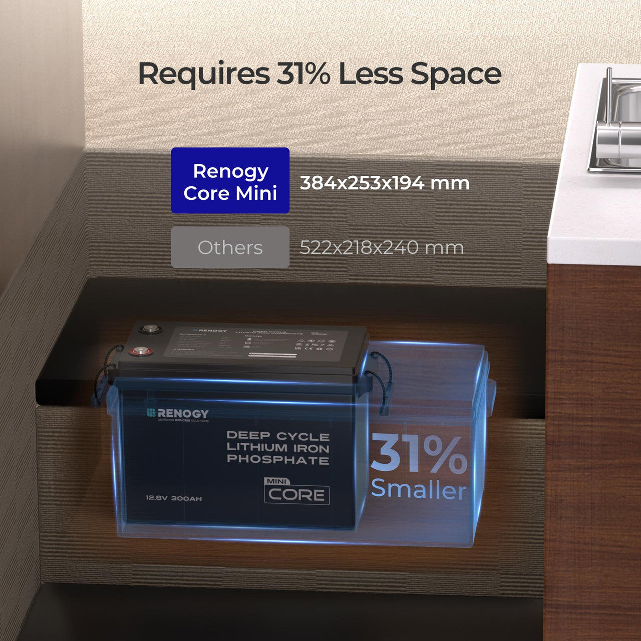 Lithium iron phosphate battery with advanced BMS
